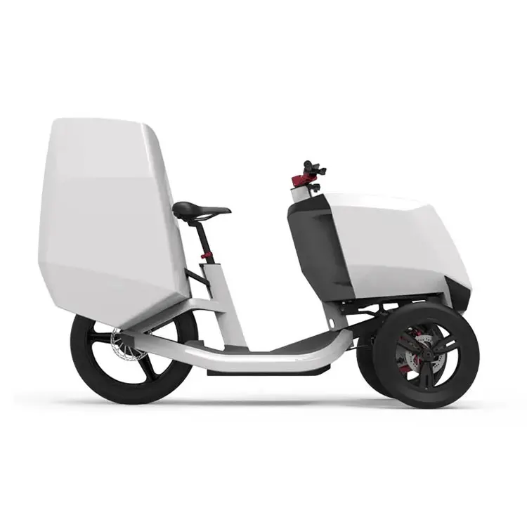 cargo electric bicycle