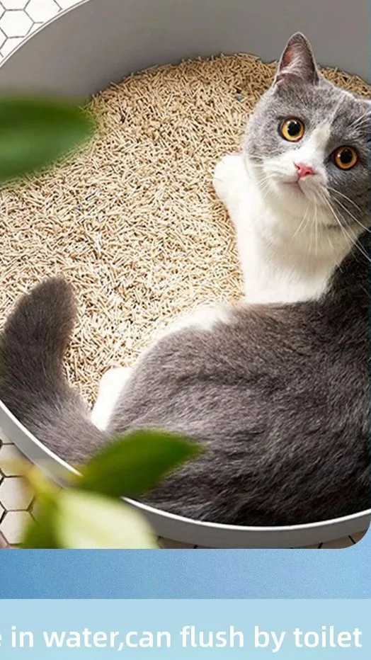 Factory Price Natural Ecofriendly Tofu Cat Litter Odor Control Plant