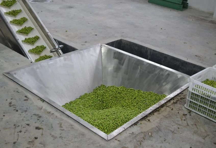 New Automatic 2000L SS304 Extra Virgin Olive Oil Processing Production ...