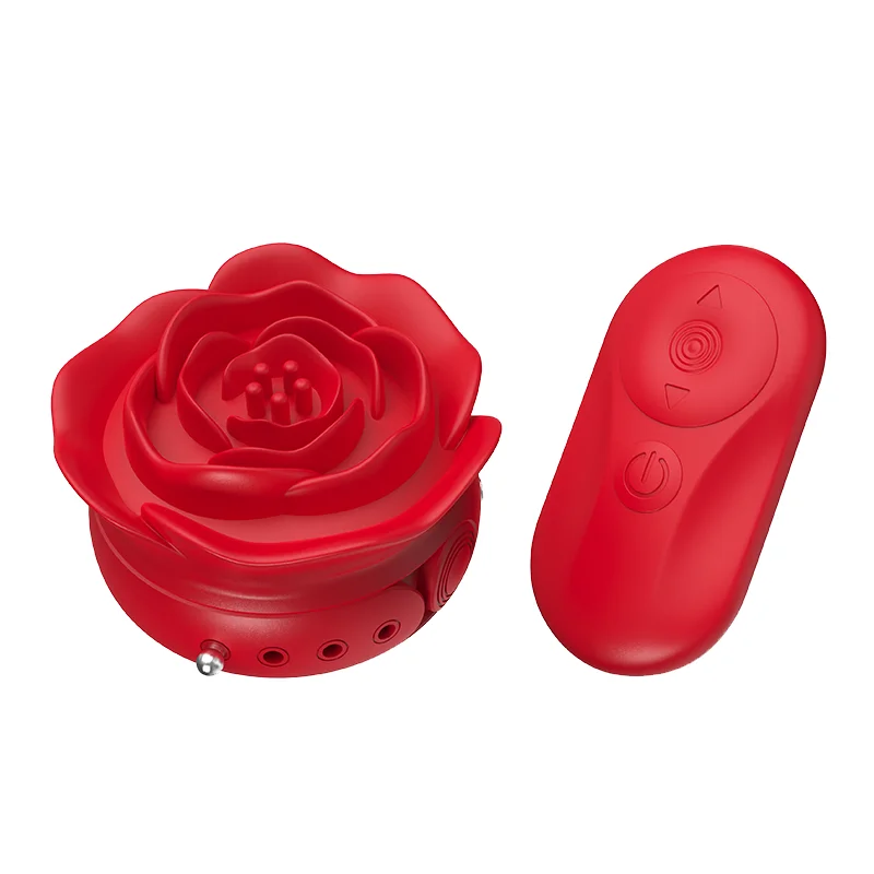 Remote Control Silicone Vibrating Nipple Clamps Female BDSM Sex Toys Mini Invisible Adjustable Women Nipple Clamps Rose Vibrator