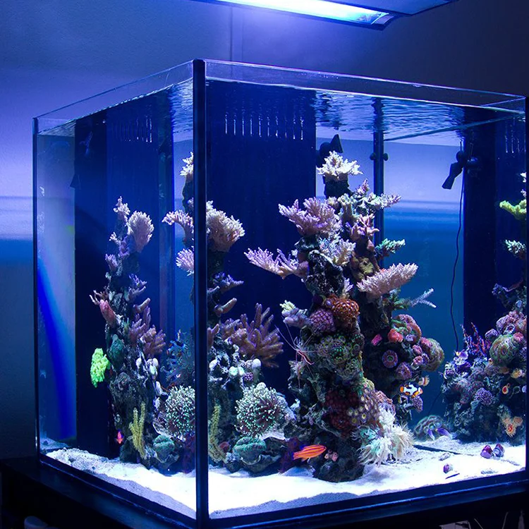 300加仑水族箱出售大缸水族箱鱼缸用途| Alibaba.com