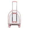 Style 2 Pink Transparent