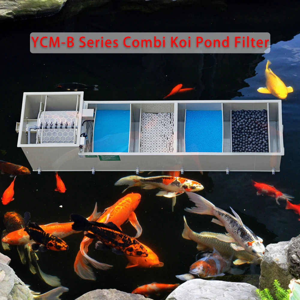 QihangRAS Home Use All in One Biological Filter for Koi Pond Wholesale 50m3/h Aquaculture Aquarium Fish Pond Combine Drum Filter