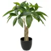 18 "arbre d'argent