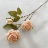 Champagne