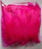 Rosa fuerte 50 unidades/bolsa de plástico