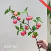 A small apple