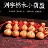 Red rope gourd