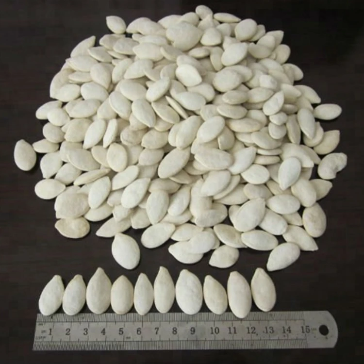 pumpkin seeds 01.jpg
