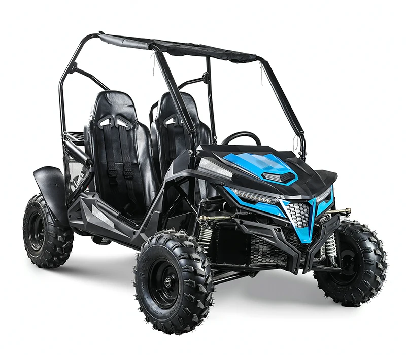 Gasoline Go Kart Engine 150Cc 200Cc 250Cc 300Cc for Adults Off Road Beach Dune Buggy Cross Go Karts