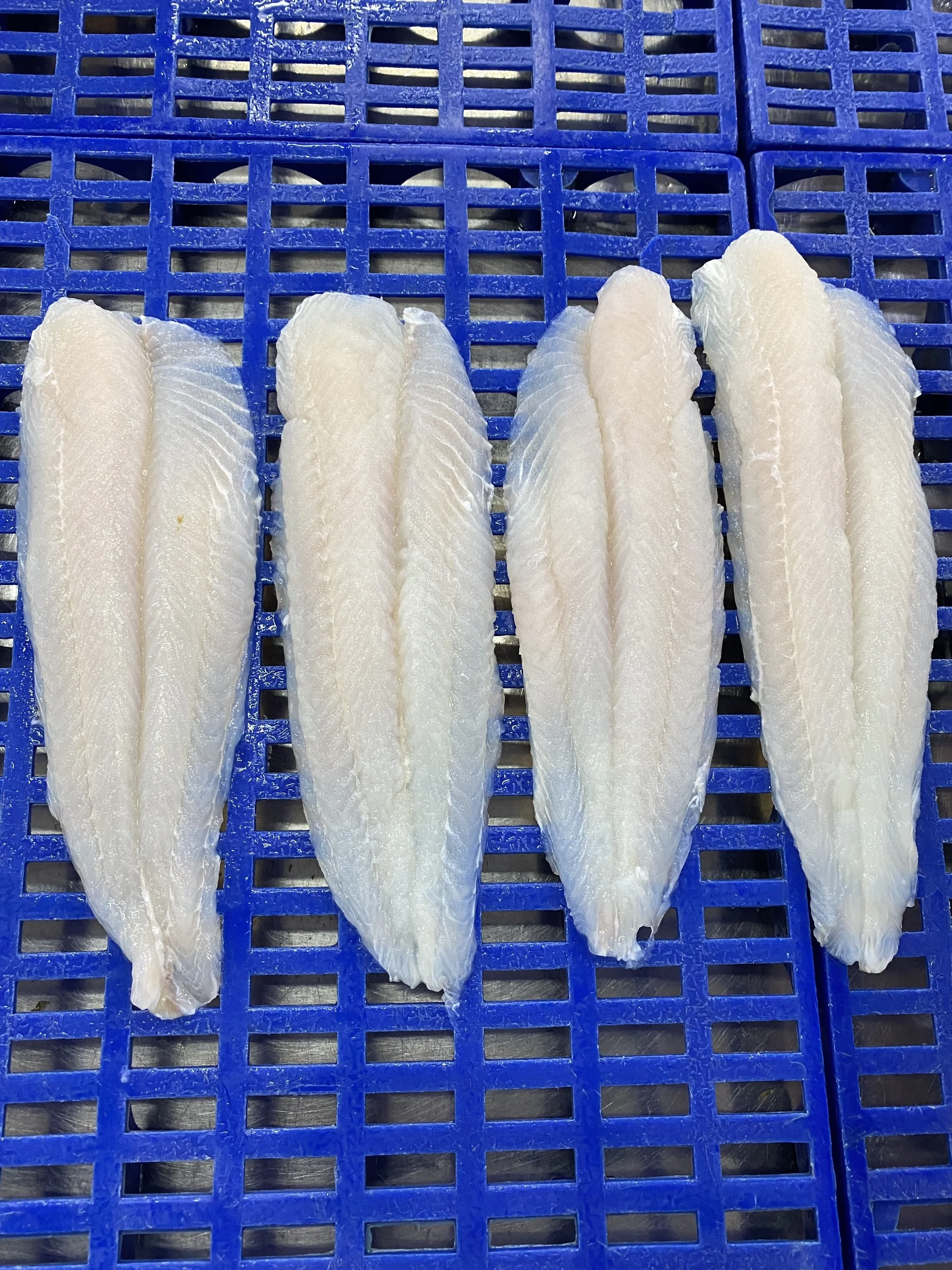 Замороженные филе рыбы IQF Pangasius Basa Tra Swai во Вьетнаме, упаковка 10 кг HACCP - TANIS IMEX CO., LTD