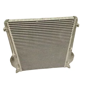 Dongfeng Truck Cooling System Spare Parts High Quality Auto Intercooler 1119010-T13L0 New Condition