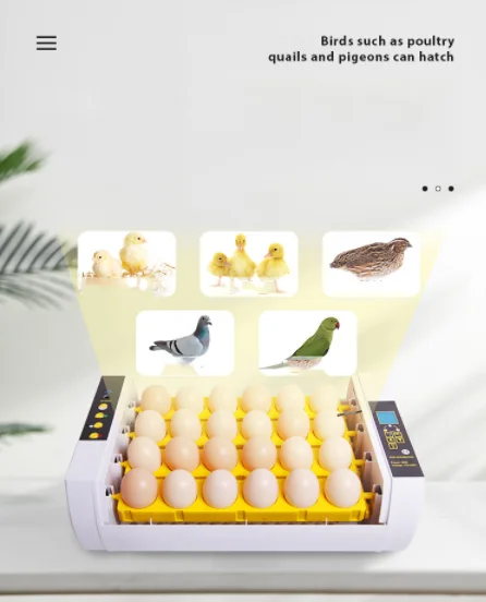 Nade full automatic mini chicken eggs incubator YZ-24S 24 egg incubators hatching eggs
