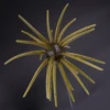 A009