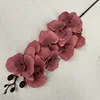 SKU11