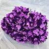 Morado oscuro