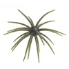 13 verde militare blu flash