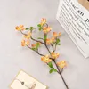 una rama de naranja