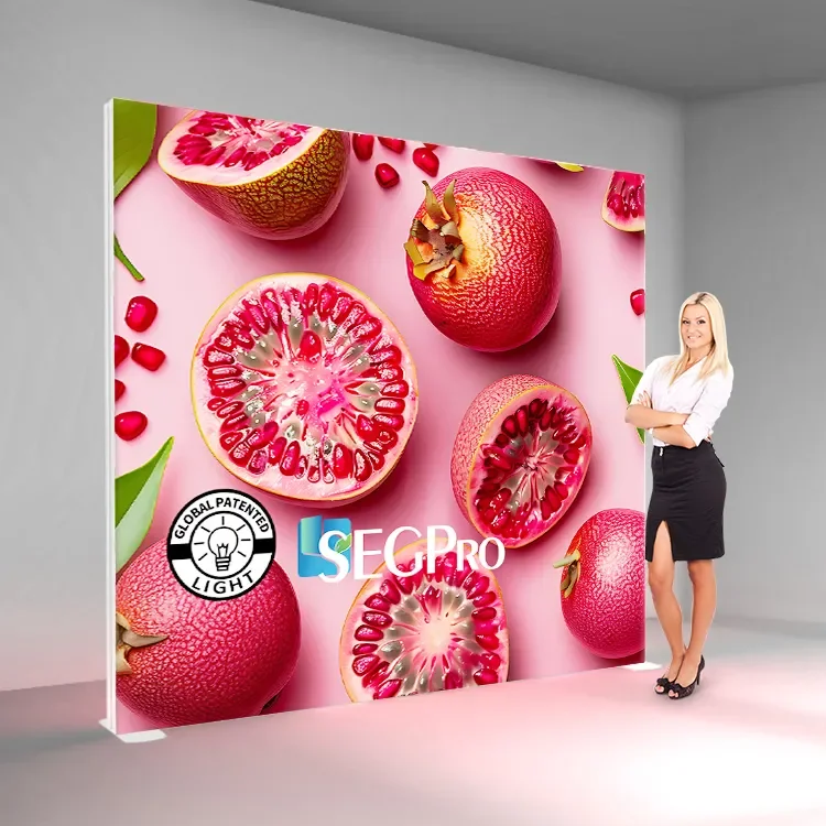 TianLang Hiina tootja Alu raam seg tagavalgusdisplay Led reklaamne kanev valguslauk raamid