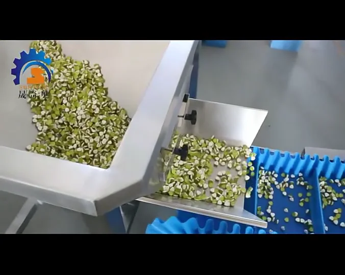 Dried Fish/ Dried Shredded Squid Snack Automatic Food Pouch Packaging