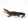 รหัสสินค้า: SL342490