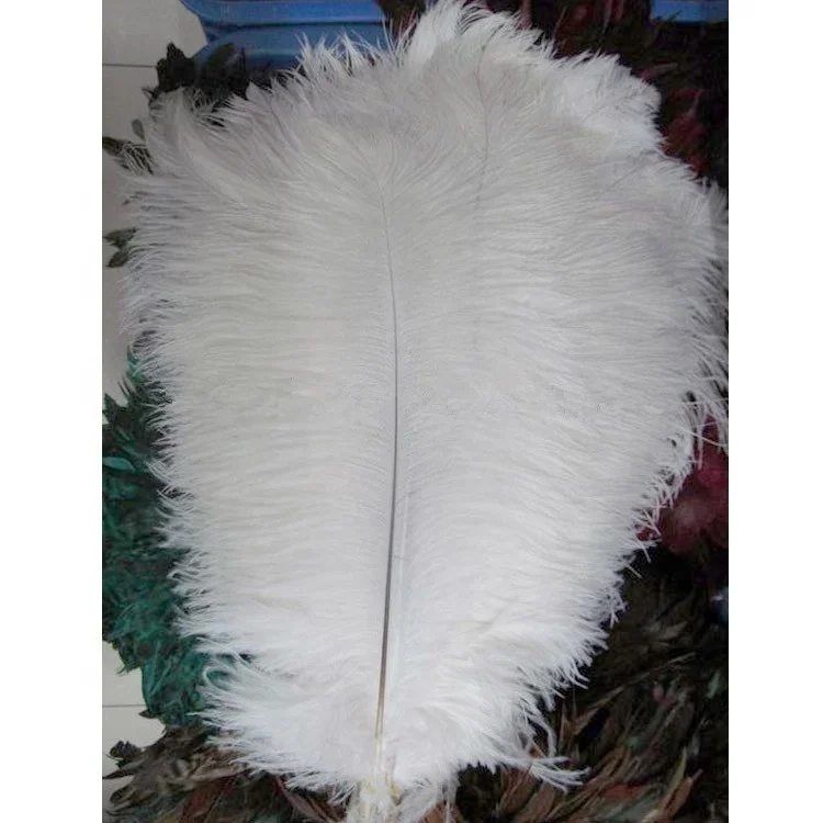 70-75cm Large White Ostrich Feathers 