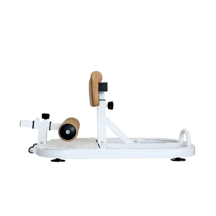 Wellshow Sport Home Gym Adjustable Deep Sissy Squat Machine Sit up Stand Bench for Squat Leg and Glutes Workout