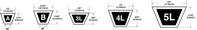 belt size.png