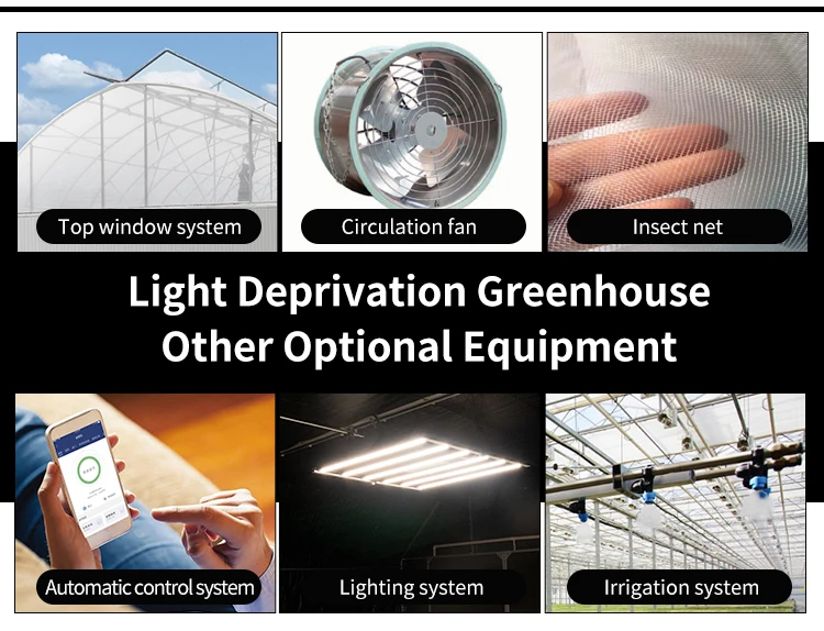 Xinde Commercial Automated Light Deprivation Greenhouse With Blackout