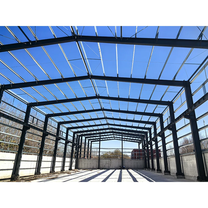 Modern Design Steel Structure Warehouse Building Factory Price Construction Design