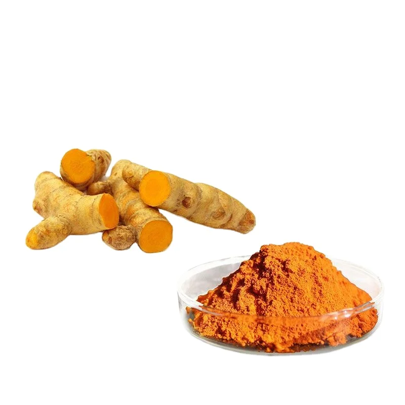 Nutritional Supplements Bcm 95 Curcumin