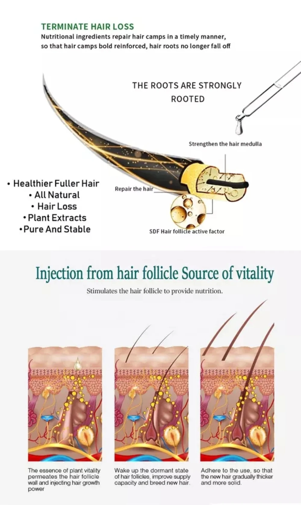Hair Oil (4).jpg