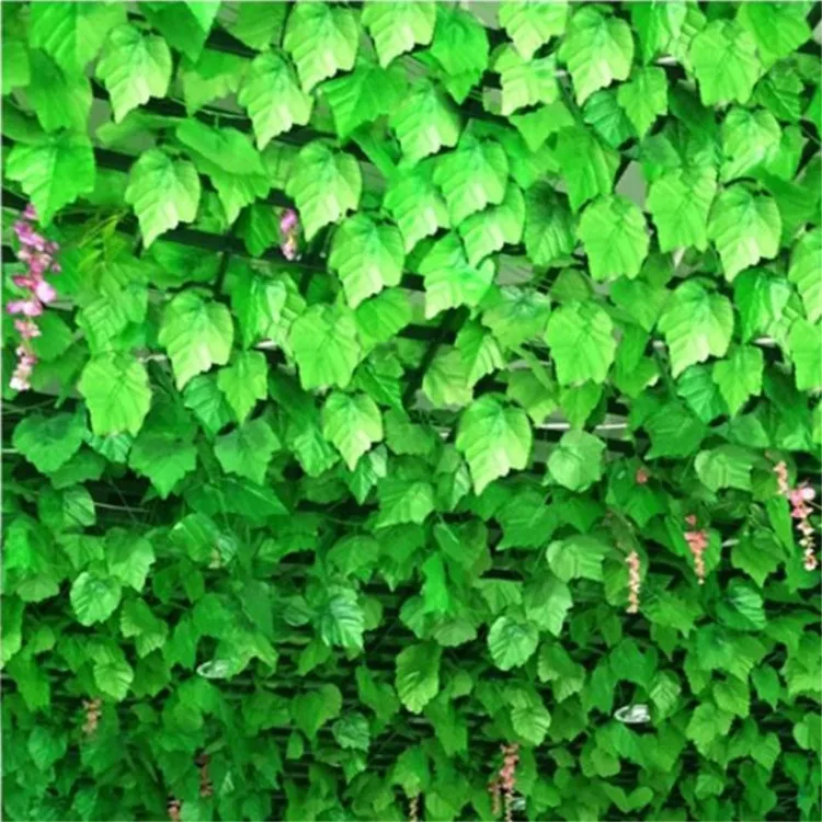 Plamy Simulation Leaf Begonia Green Creeper Green Dill Leaves Rattan Leaf  Plant Vine For Party Decoration - Buy Simulation Grape Leaf Decoration For  Wedding Party Decoration,Maple Leaf Begonia Leaves Green Dill Leaves