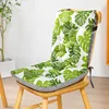 Monstera deliciosa (Dual-use)
