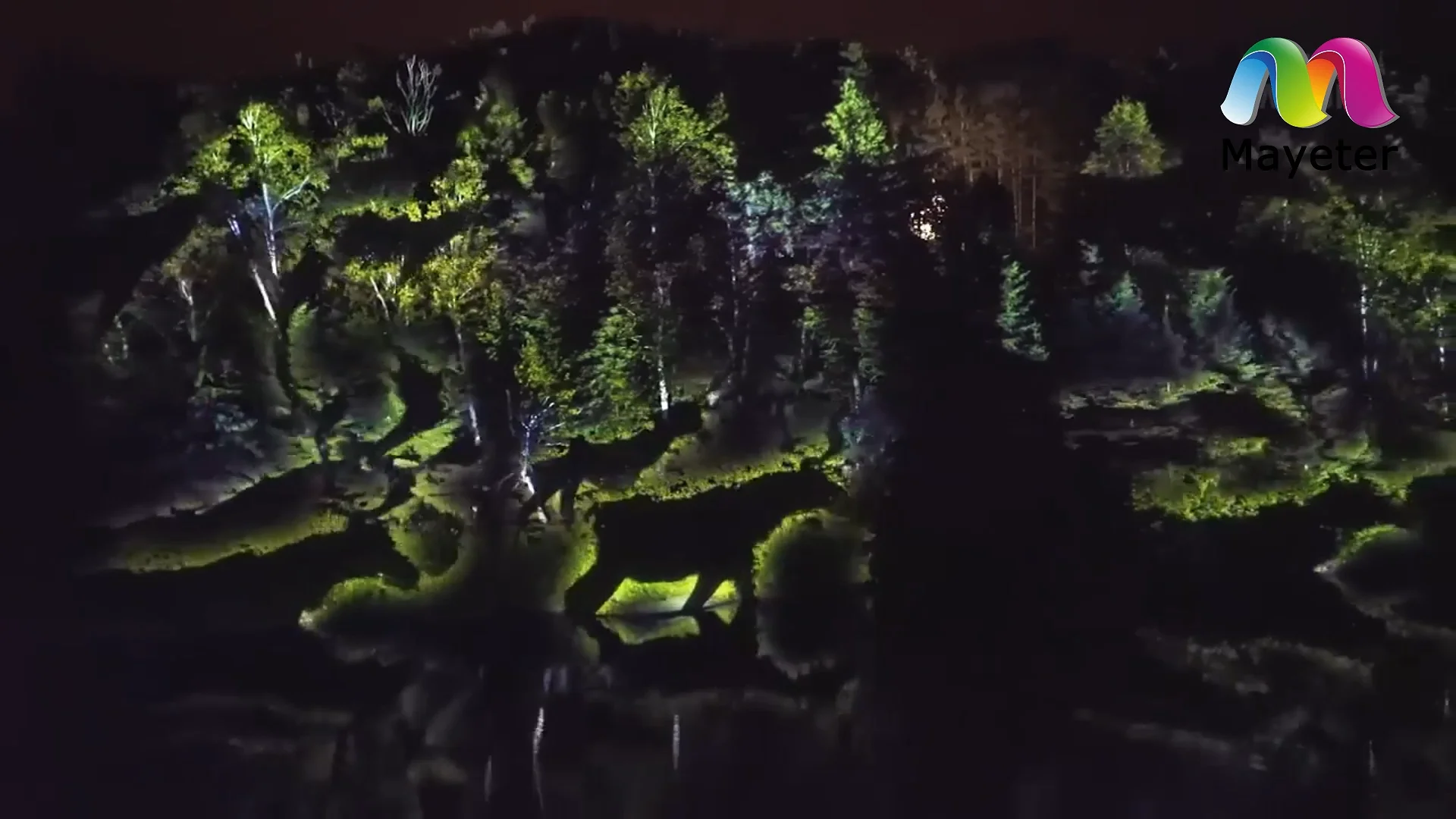 Customized Outdoor Forest 3d Mapping - H45a12992a5fe4611aa321eb0a869b789p 