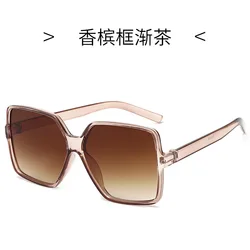 Transparent Light Brown Fashion Show Sunglasses SS23 23087049