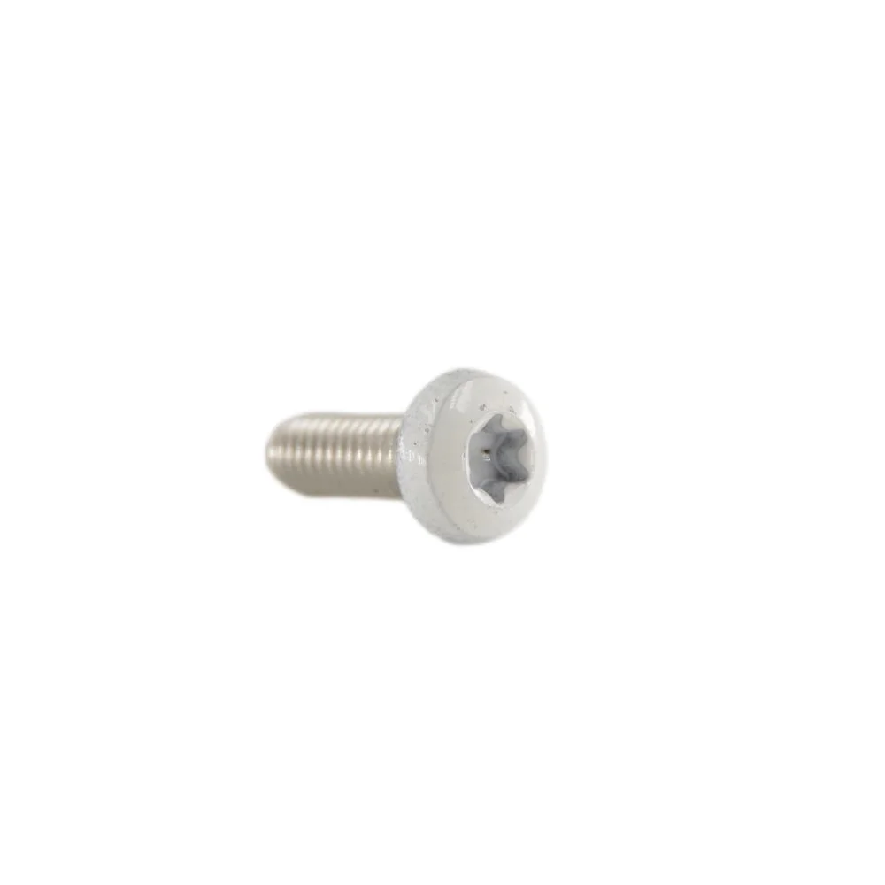 Six-Lobe Flat Head White Painting Screw Stainless Steel Hex Hidden Camera Wall Torx Screw Bolts supplier