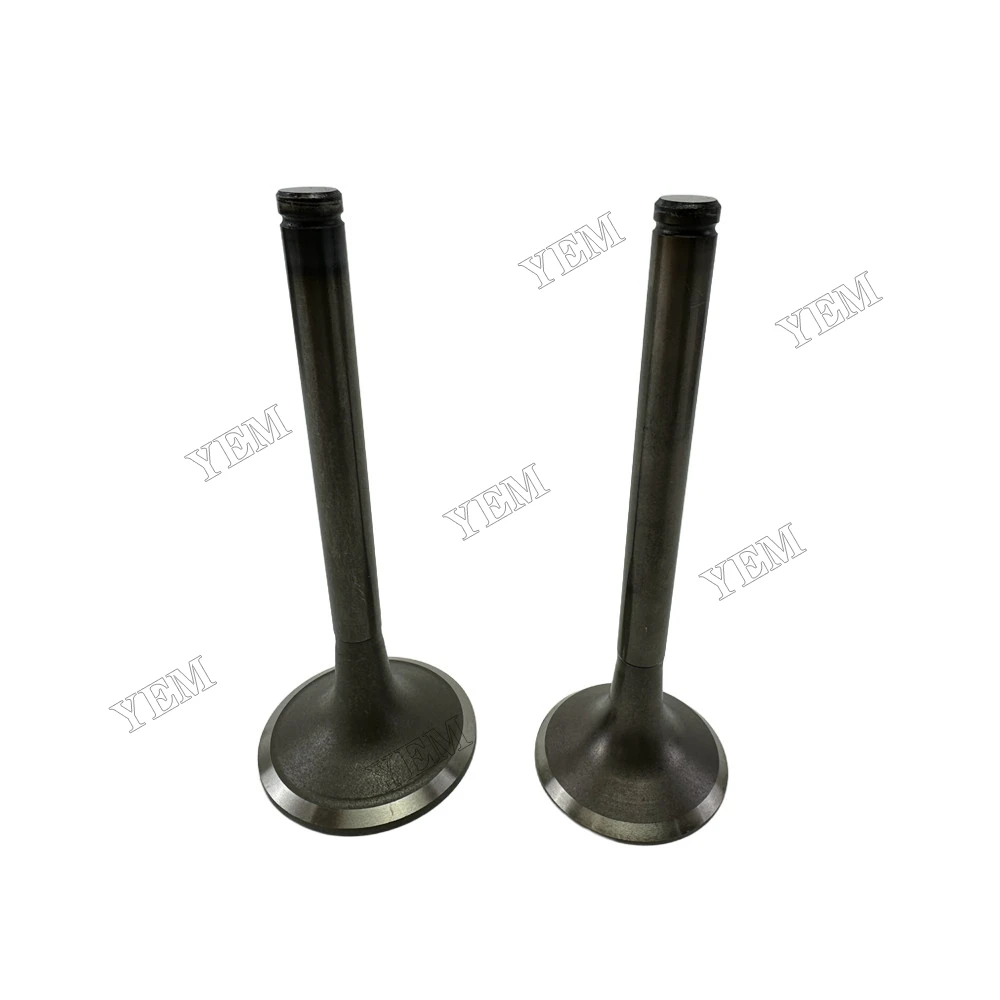 Intake and Exhaust Valve Fit for Doosan Develon D2848 Engine 5