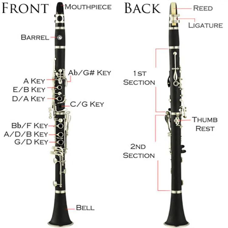 Кларнет альт. Чертеж кларнета. Размеры кларнета. Клапаны кларнета с описанием. Части кларнета с названием.