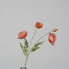 rosa oscuro