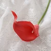 สี12