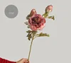 #3 rosas