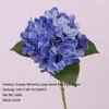 ไฮเดรนเยียสีวิสทีเรีย 4 ใบขนาดใหญ่