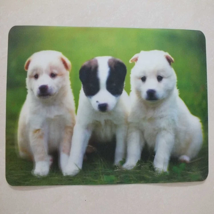 Custom Printed Plastic Pvc Table Mat Pp Antislip Placemat Buy