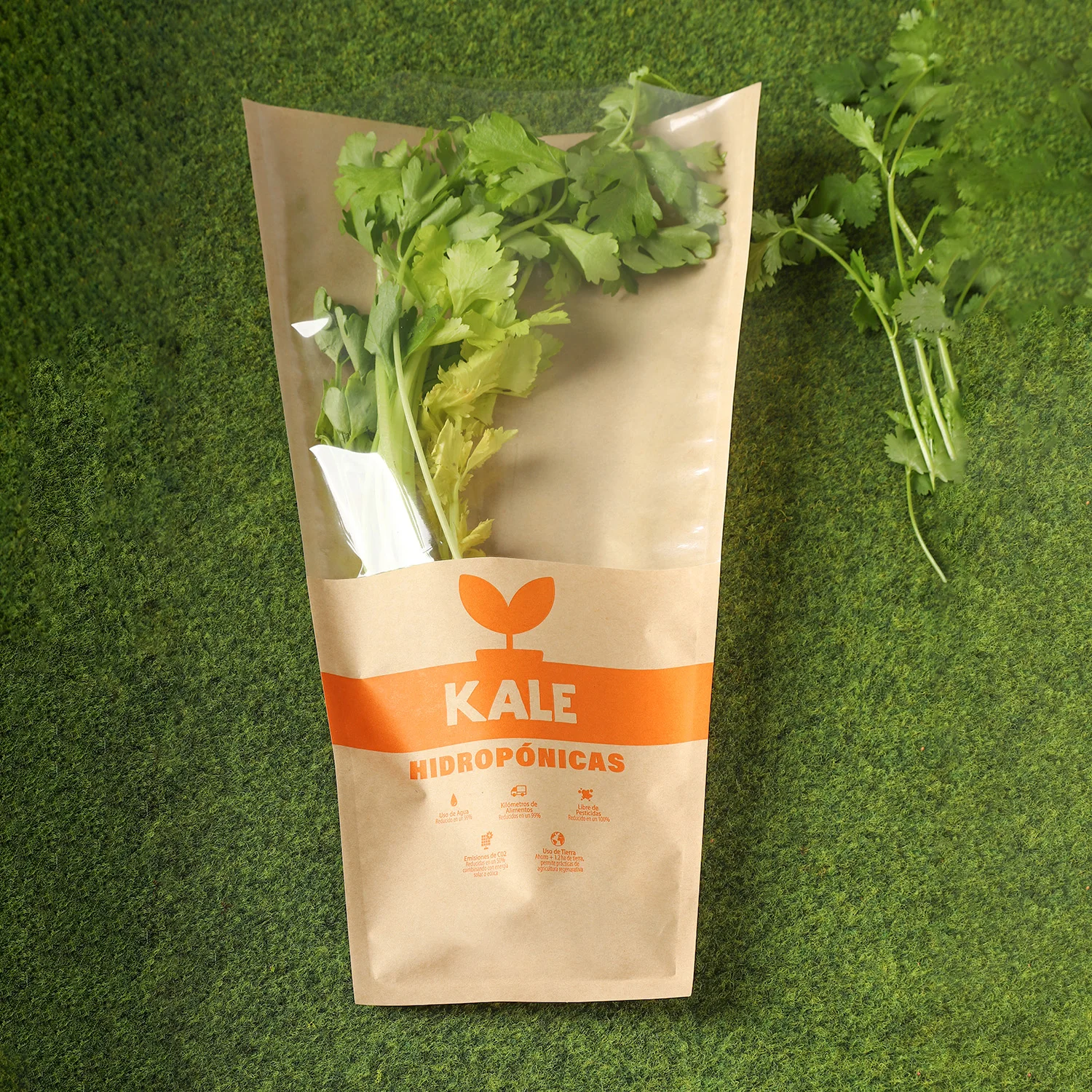Custom Biodegradable Cool Fresh Vegetable Fruits Food Lettuce Wicker Cone Bag for Frozen Food Packaging and Shopping