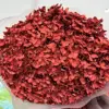dark red hydrangeas