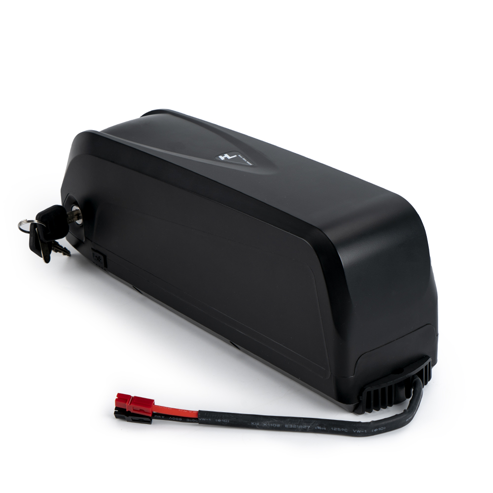 48V 18AH Lithium Battery for Electric Bikes - 1000W Motor