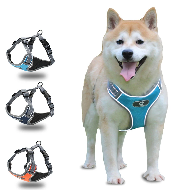 large dog chest harness