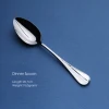 silver dinner spoon