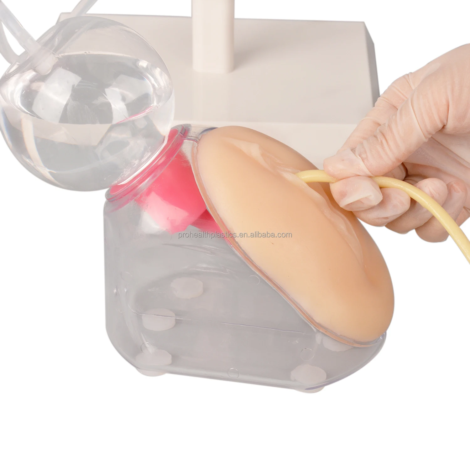 Female Urinary Catheterization Model Urethral Catheter Insertion Practice Training Tools Medical 8734